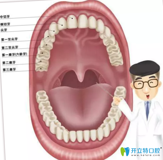 菏澤美爾口腔告訴你30歲還能矯正牙齒嗎？需要注意些什么？