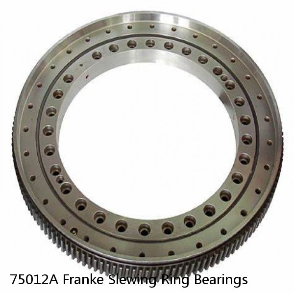 75012A Franke Slewing Ring Bearings
