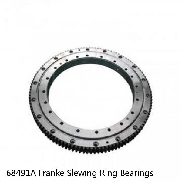 68491A Franke Slewing Ring Bearings