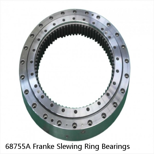68755A Franke Slewing Ring Bearings