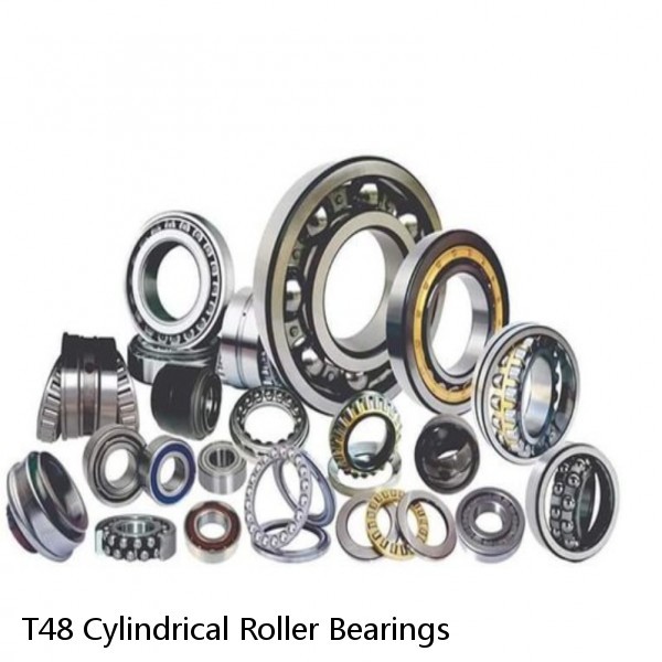 T48 Cylindrical Roller Bearings #1 small image