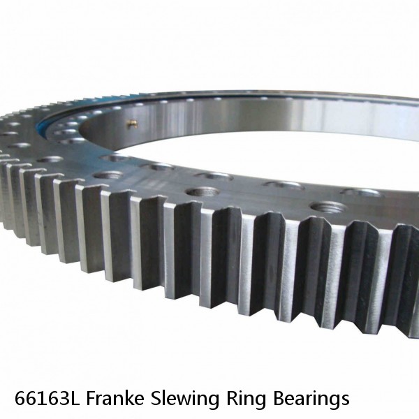 66163L Franke Slewing Ring Bearings #1 small image