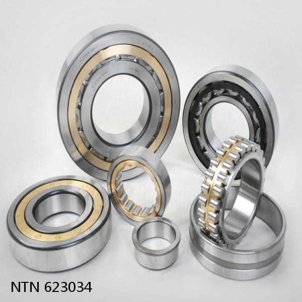 623034 NTN Cylindrical Roller Bearing