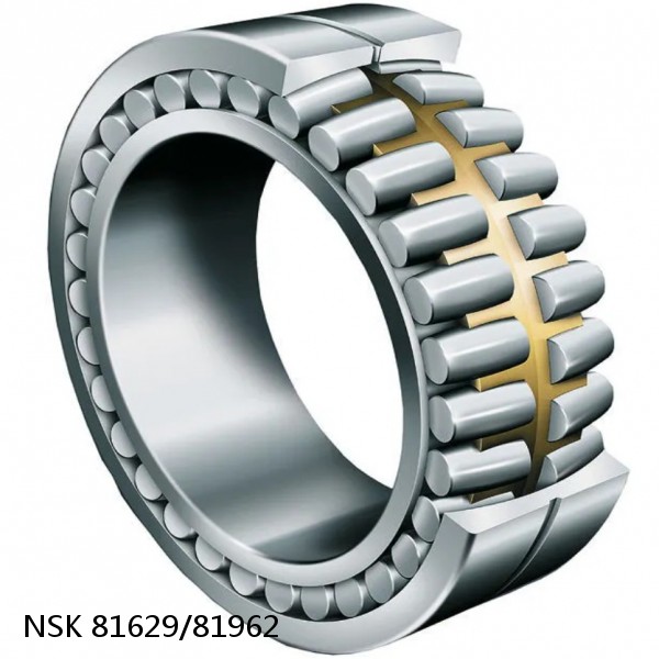 81629/81962 NSK CYLINDRICAL ROLLER BEARING #1 small image