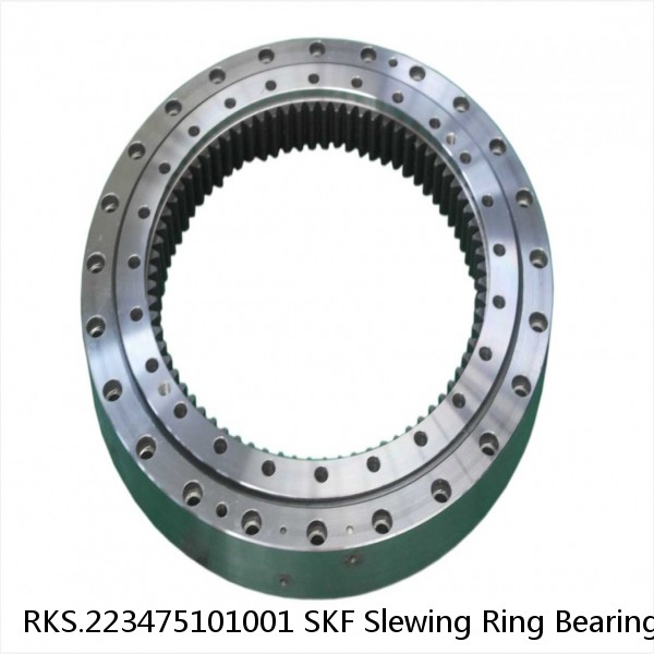 RKS.223475101001 SKF Slewing Ring Bearings #1 small image