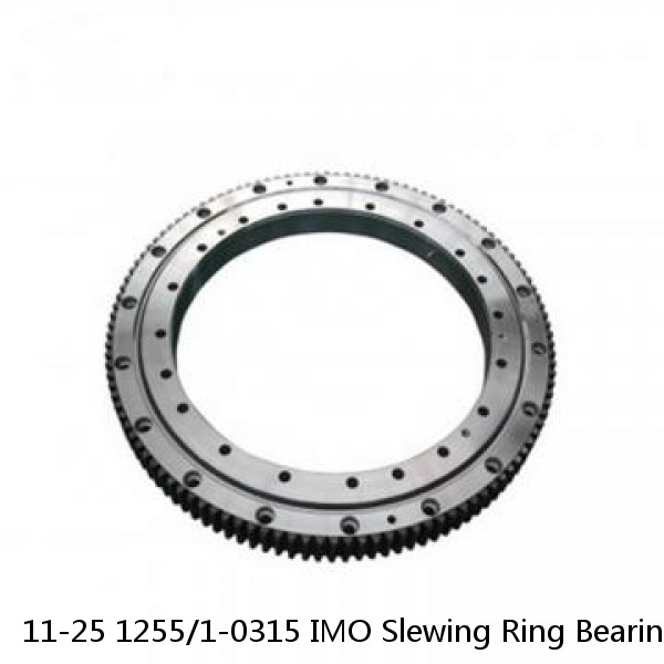 11-25 1255/1-0315 IMO Slewing Ring Bearings #1 small image