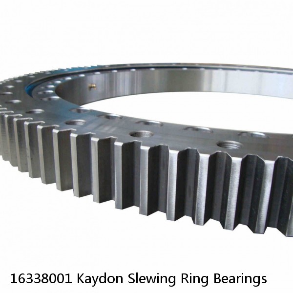 16338001 Kaydon Slewing Ring Bearings #1 small image