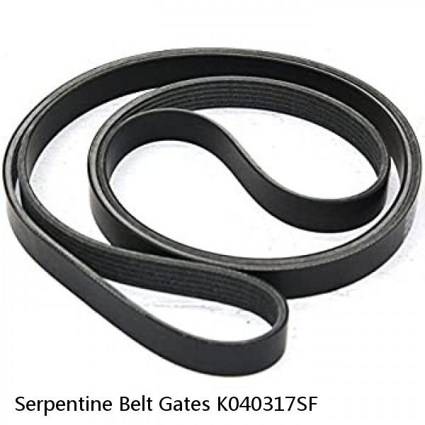 Serpentine Belt Gates K040317SF #1 small image