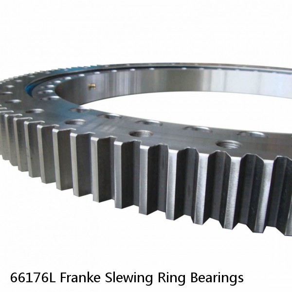 66176L Franke Slewing Ring Bearings #1 image