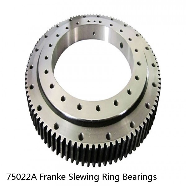 75022A Franke Slewing Ring Bearings #1 image