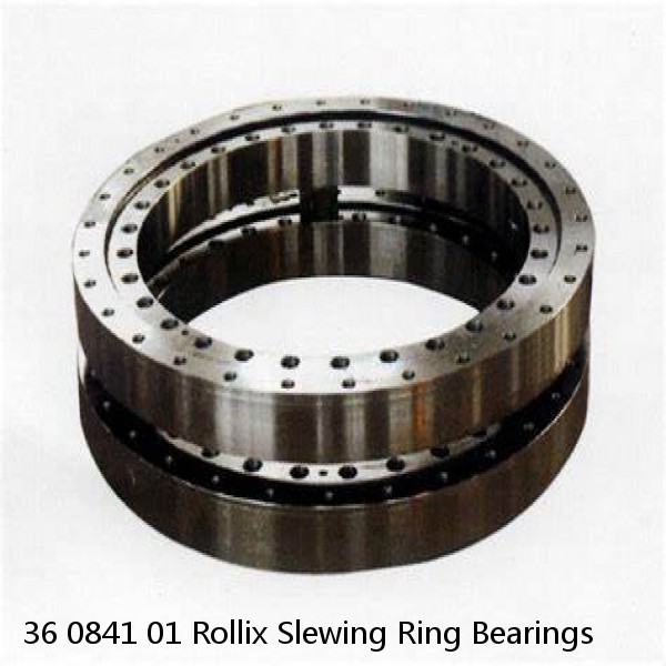 36 0841 01 Rollix Slewing Ring Bearings #1 image