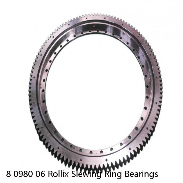 8 0980 06 Rollix Slewing Ring Bearings #1 image