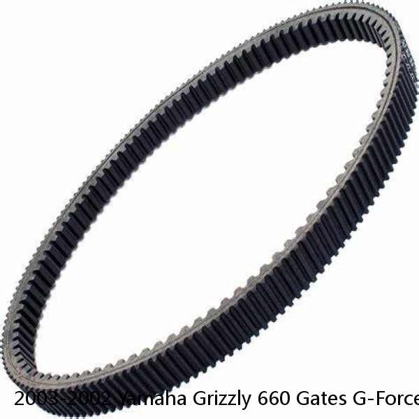 2003-2002 Yamaha Grizzly 660 Gates G-Force Belt #1 image